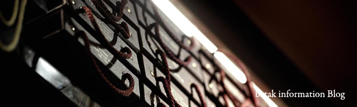 batak information blog