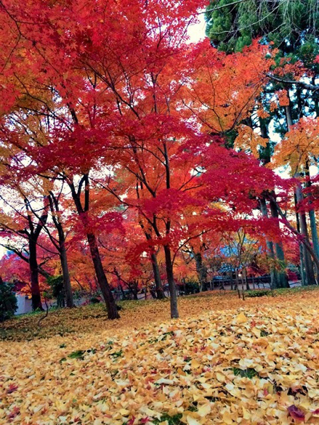 kyoto-2