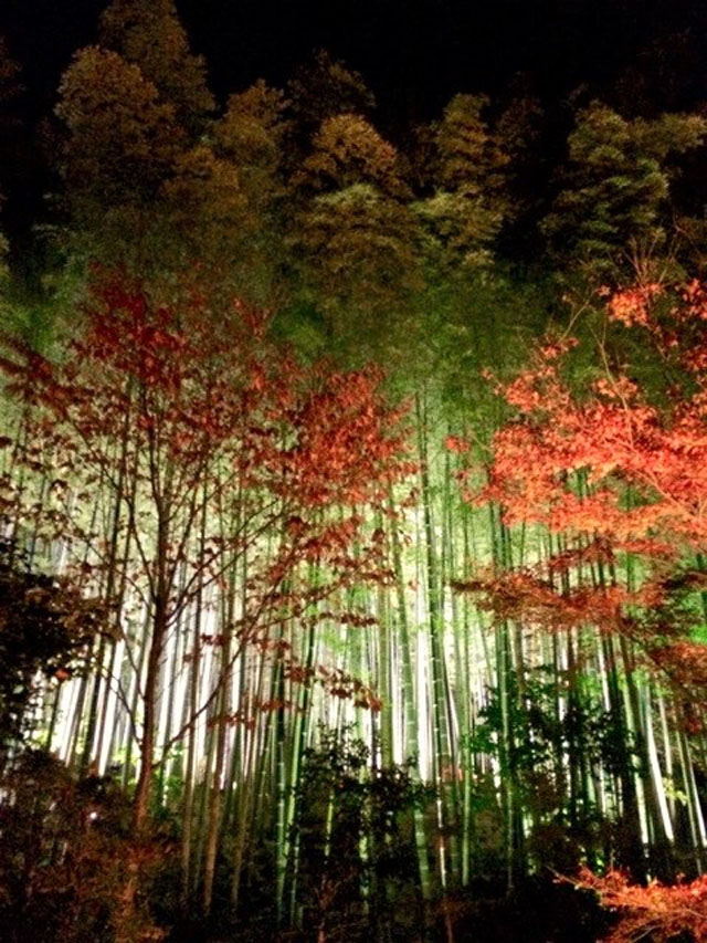 kyoto-6