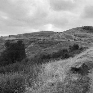 コラム用写真2025-10-31